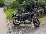 Suzuki GS 500 - Angebote entsprechen deinen Suchkriterien