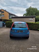 Ford Fiesta 1.25 16V Ghia Ghia - Ford Fiesta: 16v Ghia