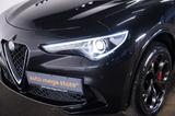 Alfa Romeo Stelvio 2.9 V6 Quadrifoglio*ACC*Bi-Xenon*h/k*Mem - Alfa Romeo Stelvio in Berlin