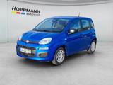 Fiat Panda 1.0 Mild-Hybrid *Klima*PDC*5sitzer* - Fiat Panda: Sitzer