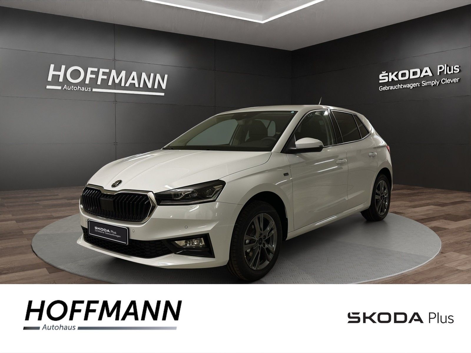 Fahrzeugbild von Skoda Fabia