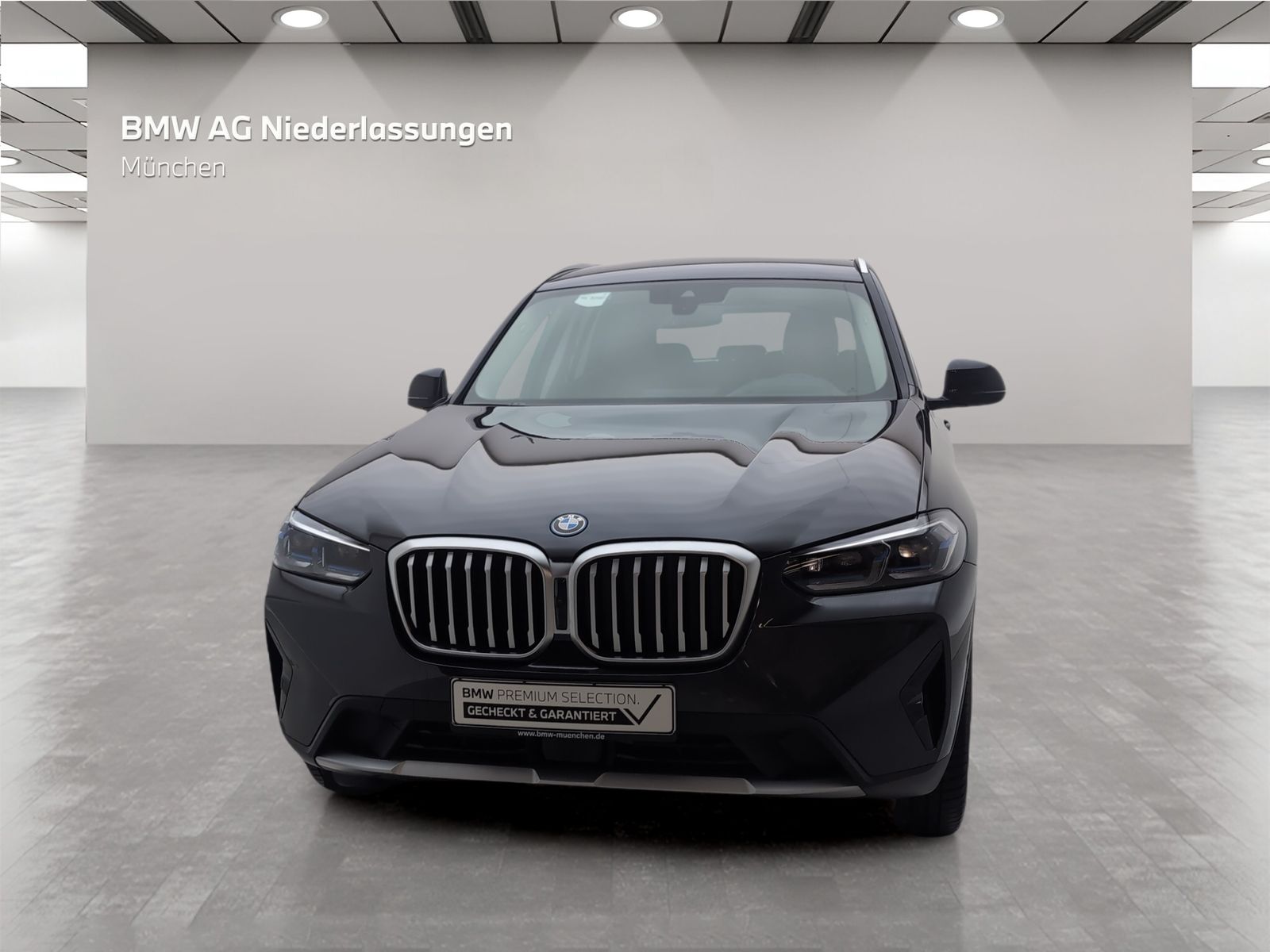 BMW X3 xDrive30e Navi Head-Up Laser Kamera HiFi foto 3