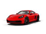 Porsche Cayman GTS PASM Sitzheizung - Porsche Cayman aus 2019