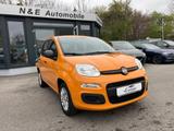 Fiat Panda 1.2 8V Easy (EURO 6d-TEMP) - Fiat Panda: Eu