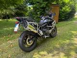 Triumph Tiger 900 GT Low - TRIUMPH TIGER 900