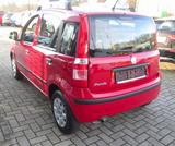 Fiat Panda 1.2 8V Dynamic - Fiat Panda: Rot