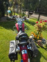 Honda Shadow  - Offers