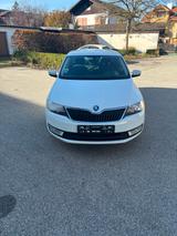 Skoda Rapid 1.2 TSI Joy Joy - Skoda Rapid: Joy