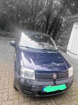 Fiat Panda - Fiat Panda Gebrauchtwagen in Hamburg