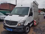 Mercedes-Benz Sprinter 210CDI -Glastransporter - Mercedes-Benz Sprinter: Allradantrieb, Van