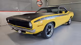 Plymouth Cuda AAR clone, renoviert - gebrauchte Plymouth Coupés