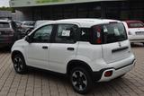 Fiat Panda City Cross 1.0 Hybrid TECH+ Pkt. NP 16.990 - Fiat Vorführfahrzeuge