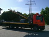 MAN L 2000 10-224 HU/AU NEU 155.Tkm Erste Hand - MAN L 200