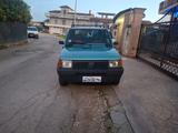 Fiat Panda 1100 i.e. cat 4x4 Trekking - gebrauchte Fiat Panda aus dem Jahr 2000