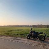 Yamaha MT 125 - Offers