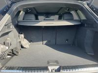 Audi SQ5 - Vorschau Bild 13