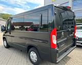 Peugeot Boxer Kombi Allure 2.2Blue-HDi - Peugeot Boxer: 8 Sitzer