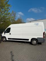 Fiat Ducato 2.3 Multijet 131PS Renntranspo... - Fiat Ducato in Hagen