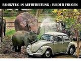 MINI Cooper SD Clubman *Chili*Aut All4 Leder Navi 18 - MINI mit Diesel-Antrieb: Grau, Panorama-Dach