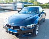 BMW 430i xDrive Cabrio Sport Line AHK Steptronic 