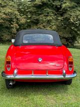 Alfa Romeo Giulia  - Alfa Romeo Giulia: Cabrio