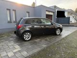 Opel Corsa1.0 Turbo* Active*S/S*SH*AC*LH*RFK*ZV*GRA - Opel Corsa mit Benzin-Antrieb: 1.0