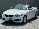 BMW 218 i 2 Cabrio Autom. SPORT LEDER LED KEYLESS - BMW 2er Reihe in Bochum