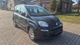 Fiat Panda 0.9 TwinAir, Wenig KM, 2 Hand - Fiat Panda in Hannover