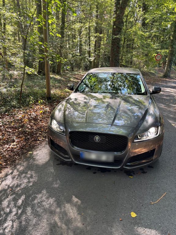 Image of Jaguar XF