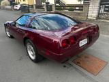 Corvette 1993 40 anniversary ruby red 47.480 km - Corvette Gebrauchtwagen von 1993