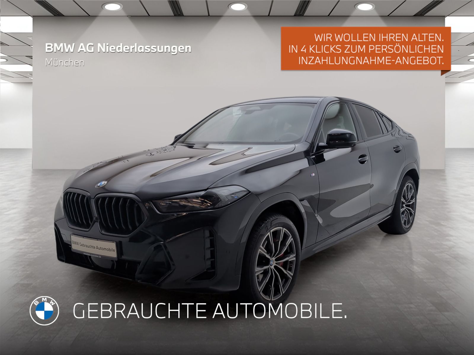 BMW X6 xDrive30d M Sport Standheizung AHK Harman K