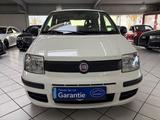 Fiat Panda 1.2 8V Classic KLIMA ELEK.FENSTER - Fiat Panda Gebrauchtwagen in Köln