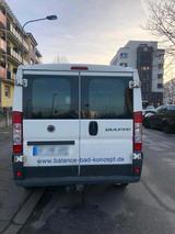 Fiat van minibus - Minibus gebraucht