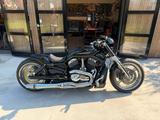 Harley-Davidson Night Rod VRSCDX