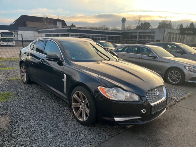 Jaguar XF 3.0 V6 Diesel Edition/Leder/Navi/Xenon/Si-Hz/