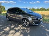 Citroën 1,6 HDI / EAT6 / 1. HD / XENON / SCHECKHEFT