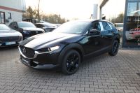 Mazda CX-30 - Vorschau Bild 3