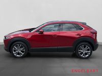 Mazda CX-30 - Vorschau Bild 2