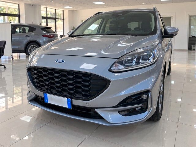 Other Ford Kuga 1.5 EcoBlue 120 CV aut. 2WD ST-Line