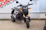 Honda MSX125 - Angebote