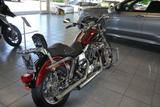 Harley-Davidson Dyna  (FXDL)*absoluter Hingucker - HARLEY-DAVIDSON FXDL
