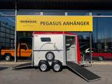Böckmann Portax  2 Pferdeanhänger Frontausstieg SK 2,4t. - Böckmann Pferdeanhänger