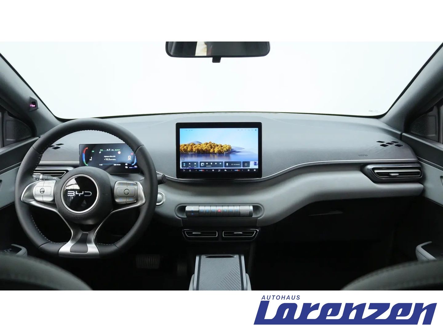 BYD DOLPHIN SURF