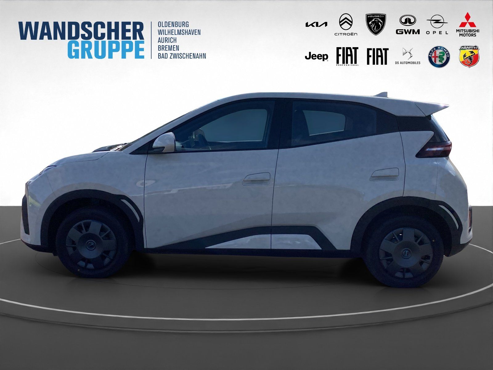 BYD DOLPHIN SURF