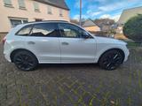 Audi SQ5 3.0 TDI plus tiptronic quattro - - Audi SQ5: Plus