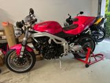 Triumph 955i Speed Triple  - TRIUMPH SPEED TRIPLE 955I