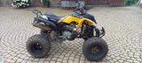 Bashan BS 250 S - QUAD VON 126 BIS 250 CCM