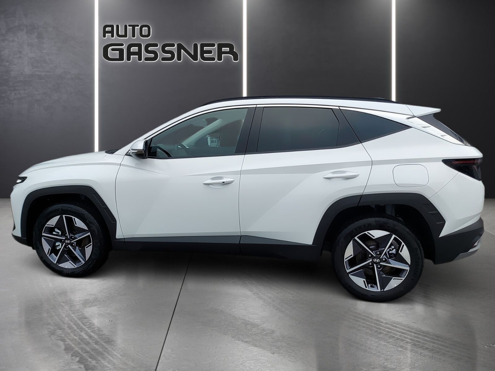 Fahrzeugabbildung Hyundai Tucson Hybrid 215 PS Trend 2WD Navi el. Heckkl.