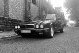 Jaguar XJ6 X300 - gebrauchte Jaguar XJ6 aus dem Jahr 1996
