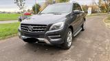 Mercedes-Benz ML 350 BlueTEC 4MATIC - - Mercedes-Benz ML 350 Gebrauchtwagen in Stuttgart